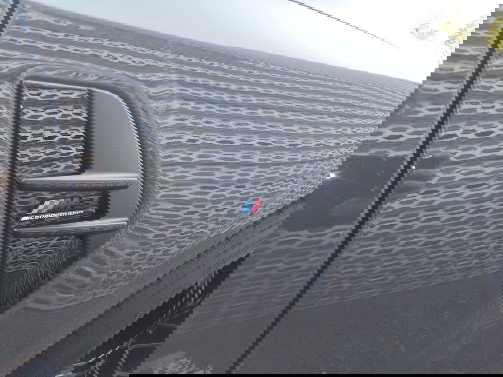 BMW Serie 3 usata a Modena (18)