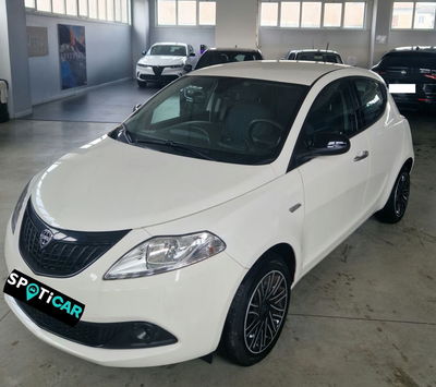 Lancia Ypsilon Oro del 2024 usata a Orvieto