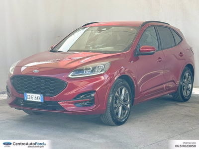 Ford Kuga 1.5 EcoBlue 120 CV aut. 2WD ST-Line X Design del 2020 usata a Albano Laziale