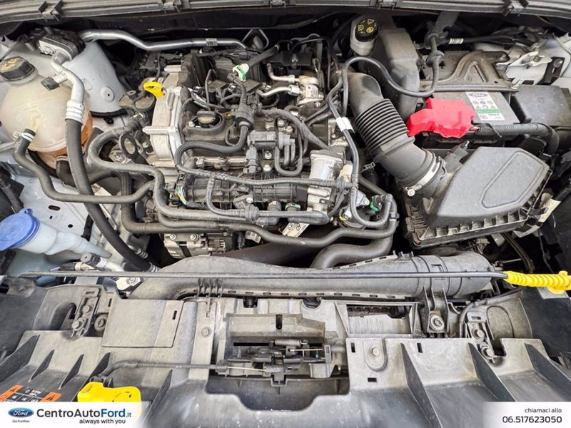 Ford Puma usata a Roma (12)