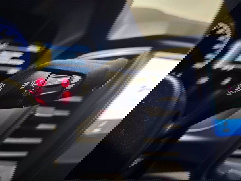 Ford Ranger Pick-up usata a Palermo (17)