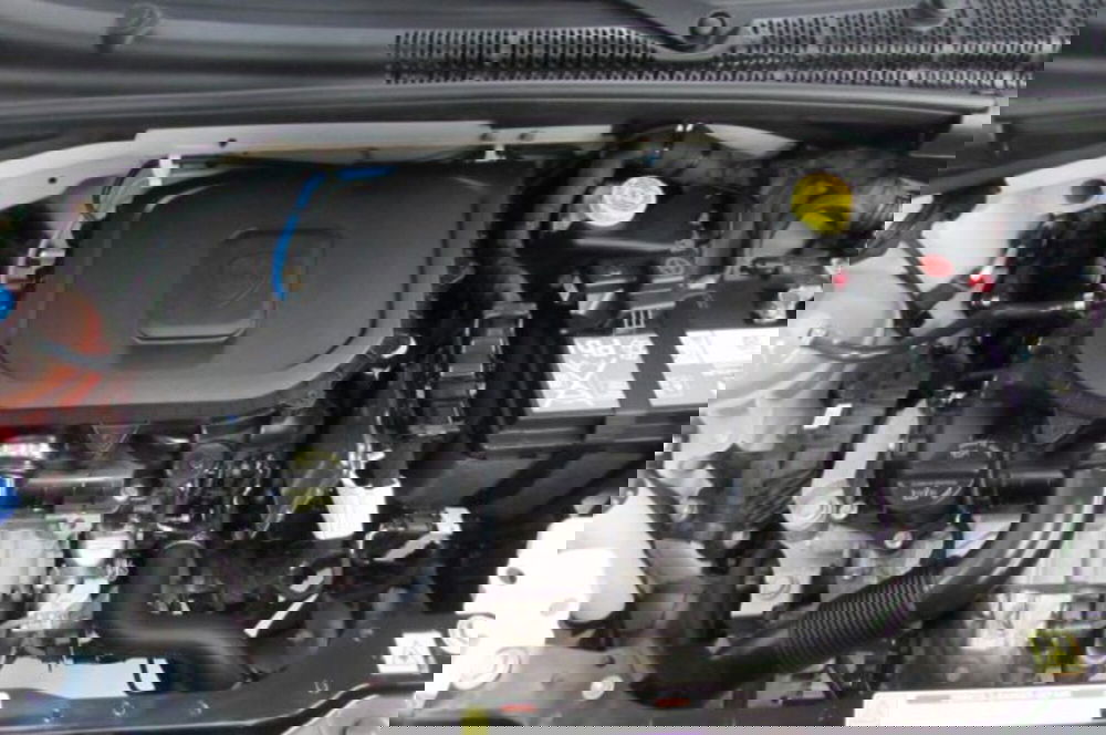 Lancia Ypsilon usata a Milano (17)