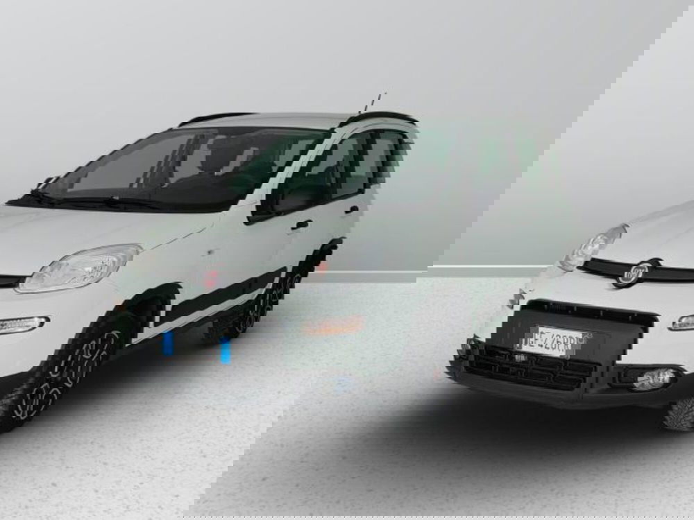 Fiat Panda usata a Teramo