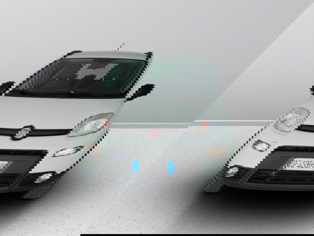 Fiat Panda usata a Teramo (2)