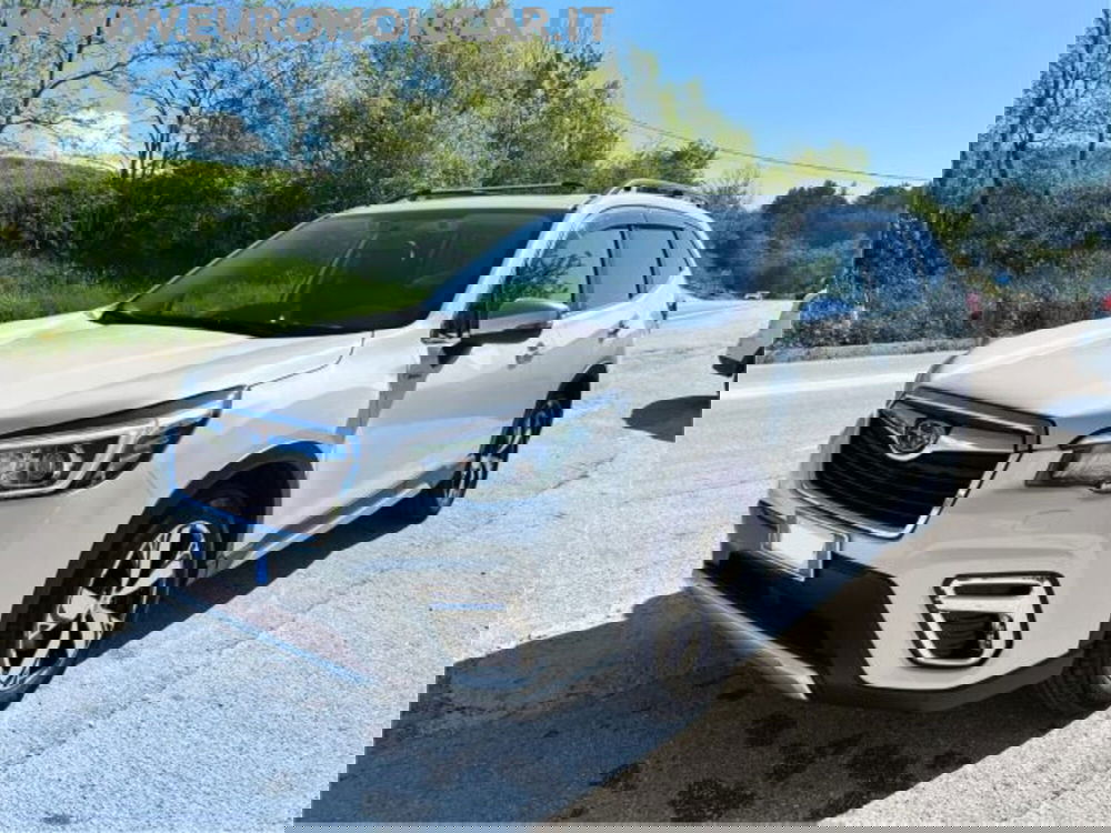 Subaru Forester usata a Campobasso (3)