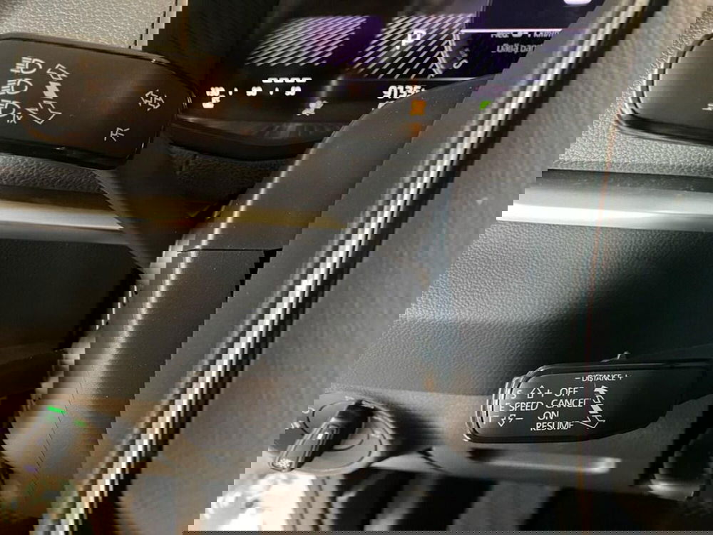 Skoda Karoq usata a Torino (13)