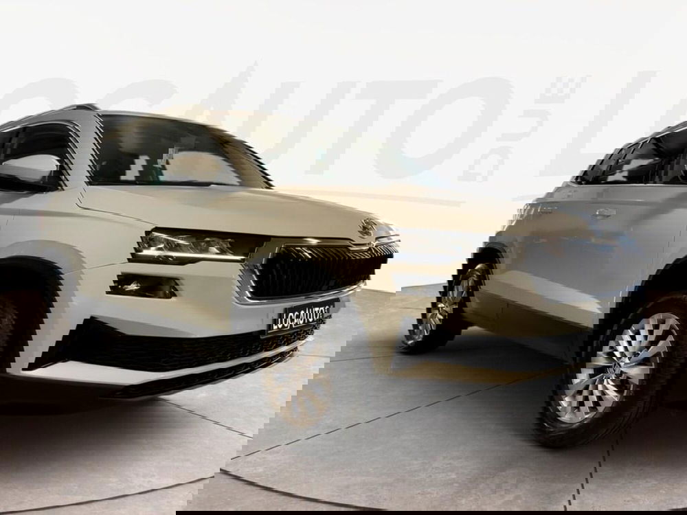 Skoda Karoq usata a Torino (3)