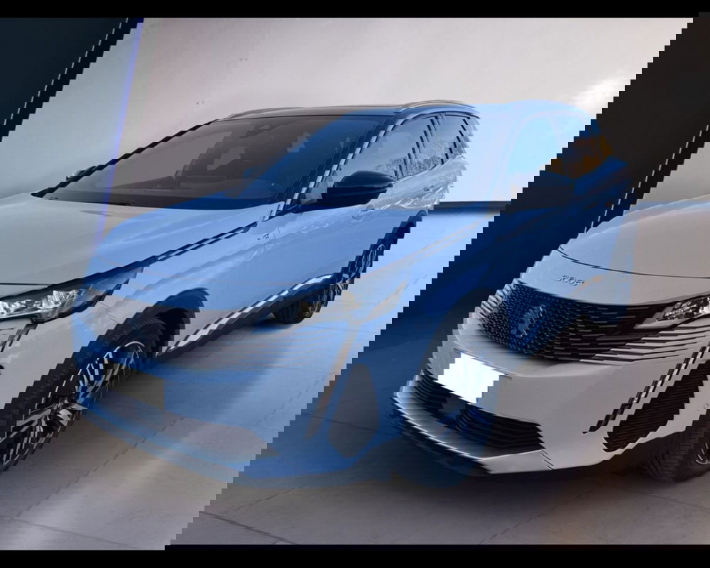 Peugeot 3008 usata a Torino (8)