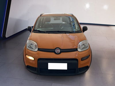 Fiat Panda 1.0 firefly hybrid s&amp;s 70cv 5p.ti del 2021 usata a Torino