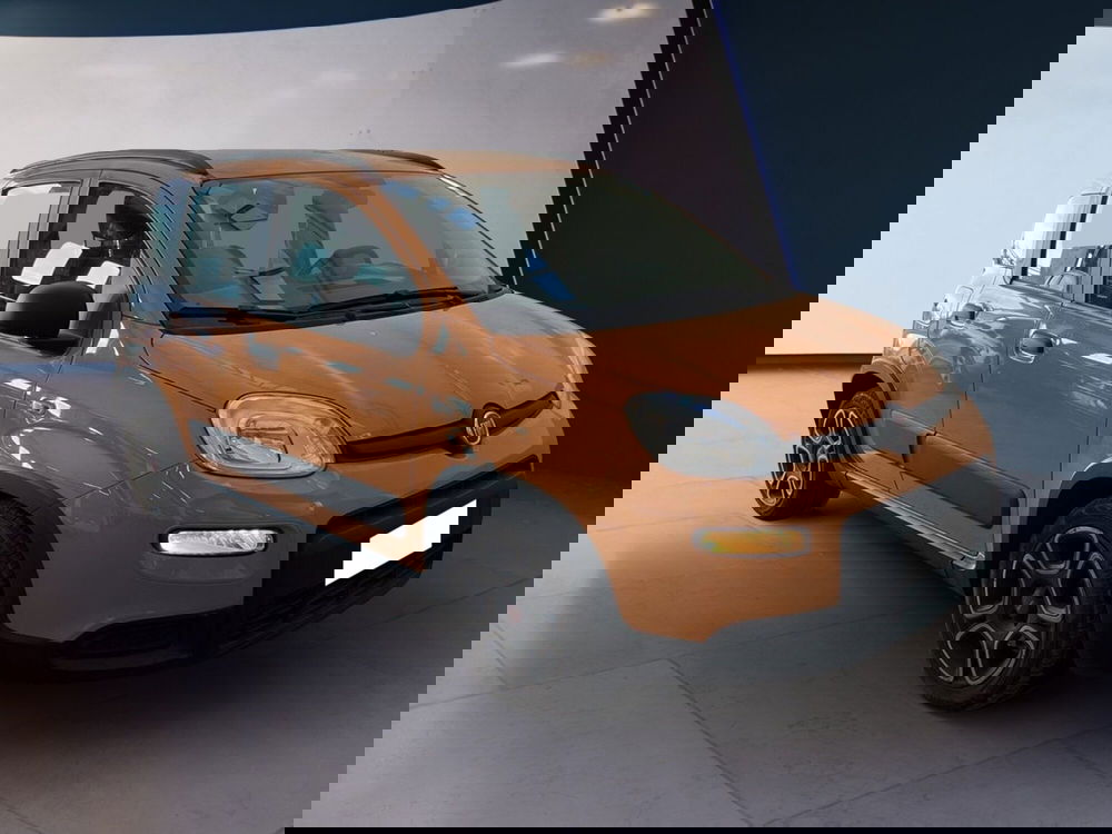 Fiat Panda usata a Torino (3)