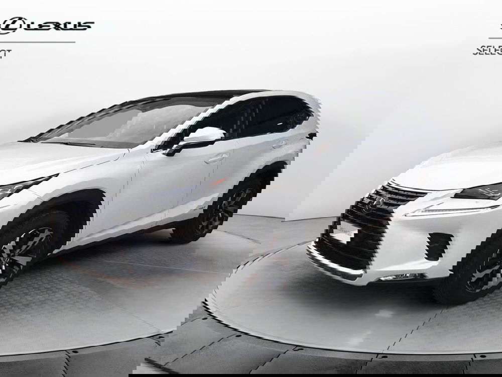 Lexus NX usata a Treviso