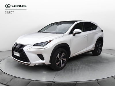 Lexus NX Hybrid 4WD Luxury del 2021 usata a Montebelluna