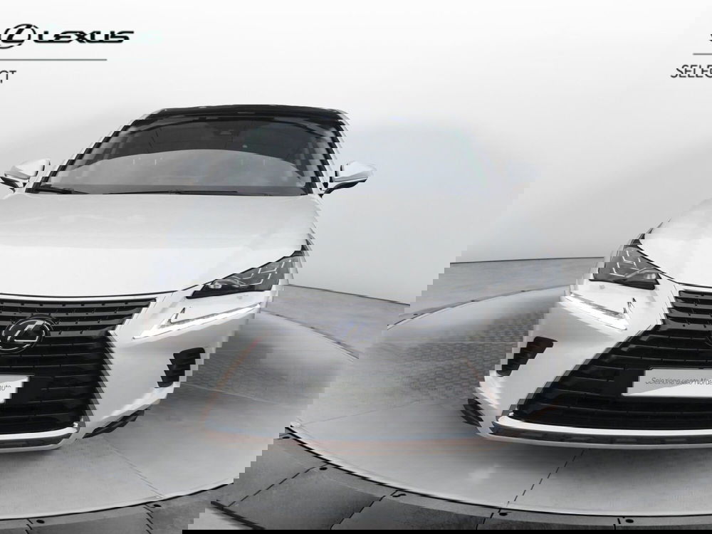 Lexus NX usata a Treviso (2)