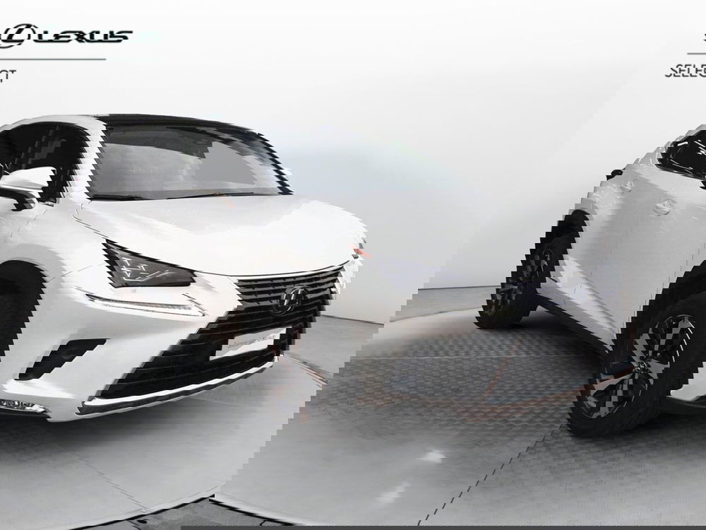Lexus NX usata a Treviso (3)