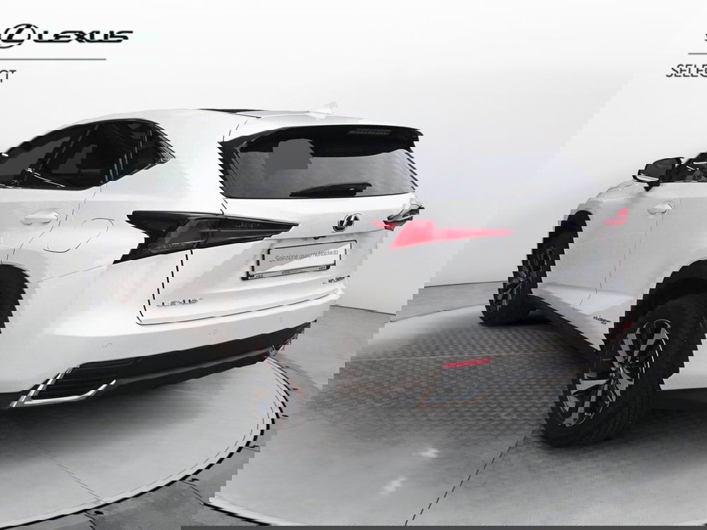 Lexus NX usata a Treviso (5)