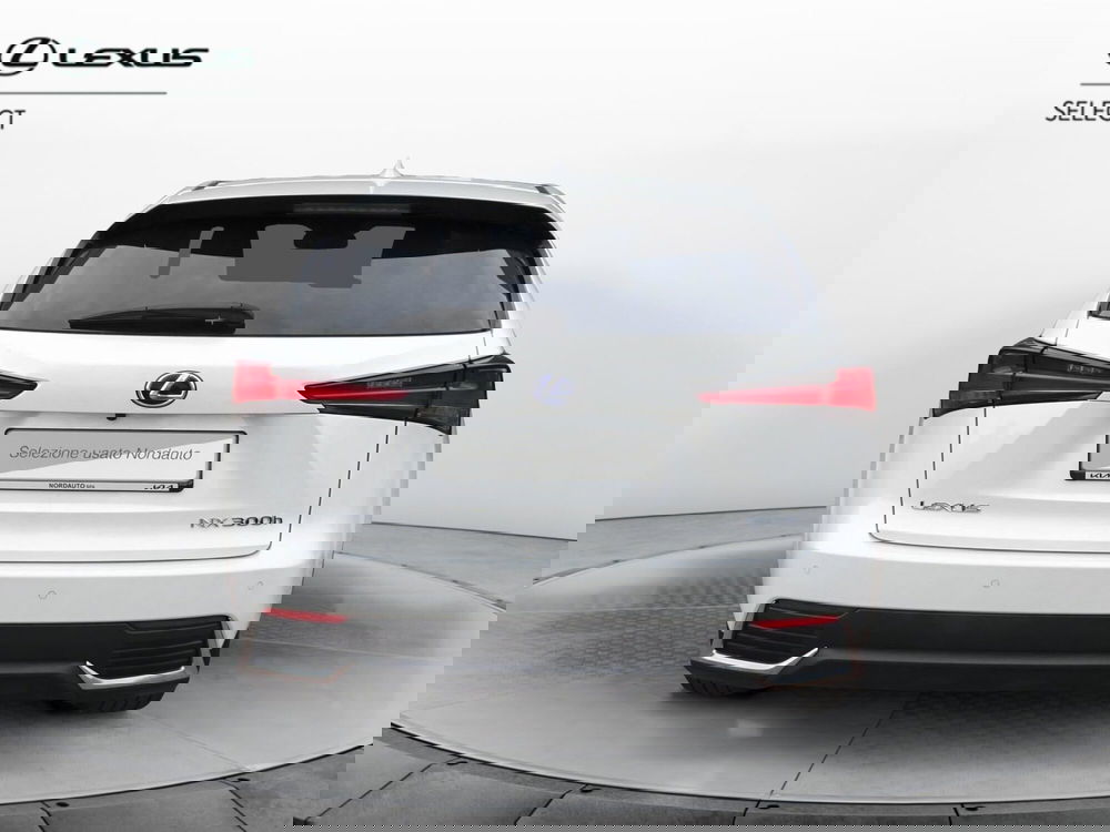 Lexus NX usata a Treviso (6)