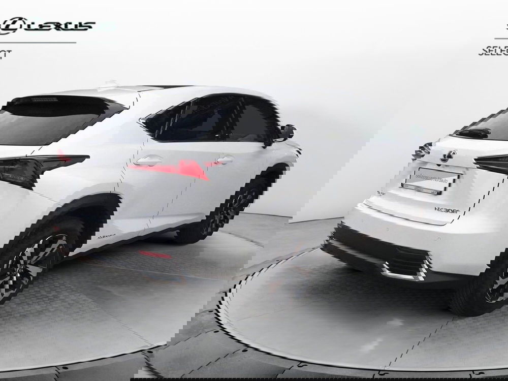 Lexus NX usata a Treviso (7)