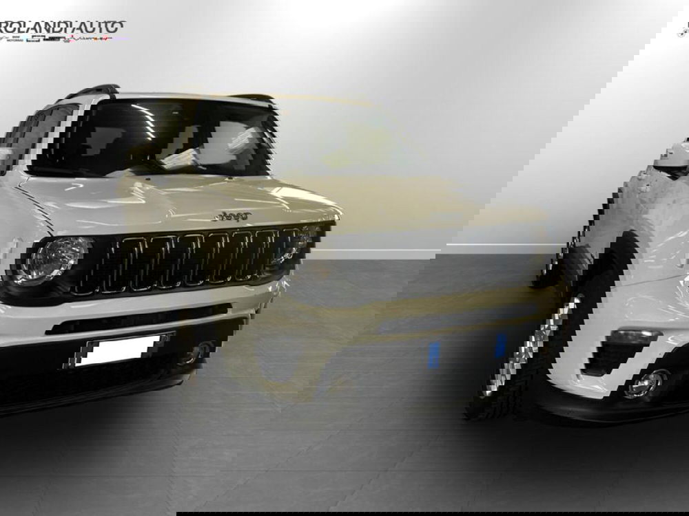 Jeep Renegade usata a Alessandria (3)