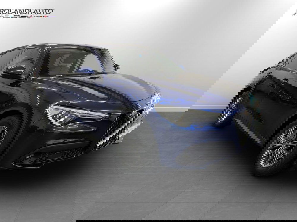 Alfa Romeo Stelvio usata a Alessandria (3)