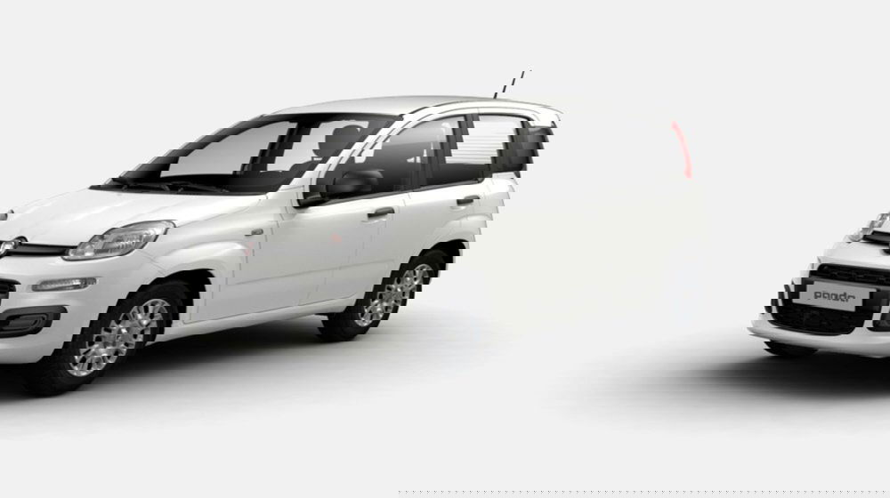 Fiat Panda nuova a Siena