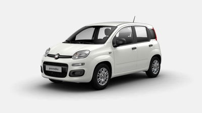 Fiat Panda 1.0 firefly hybrid s&amp;s 70cv 5p.ti nuova a Sinalunga