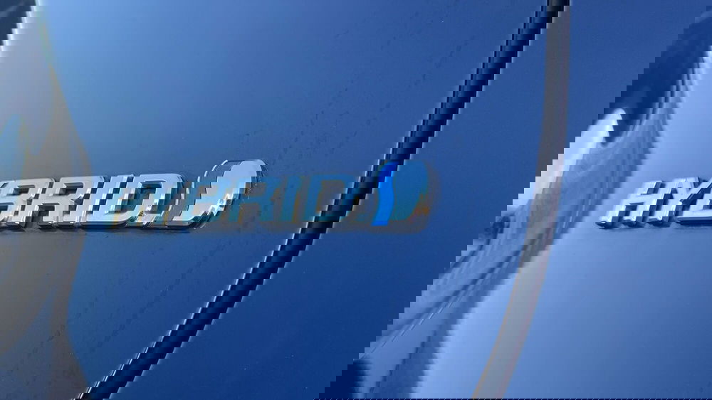 Toyota Rav4 usata a Parma (12)