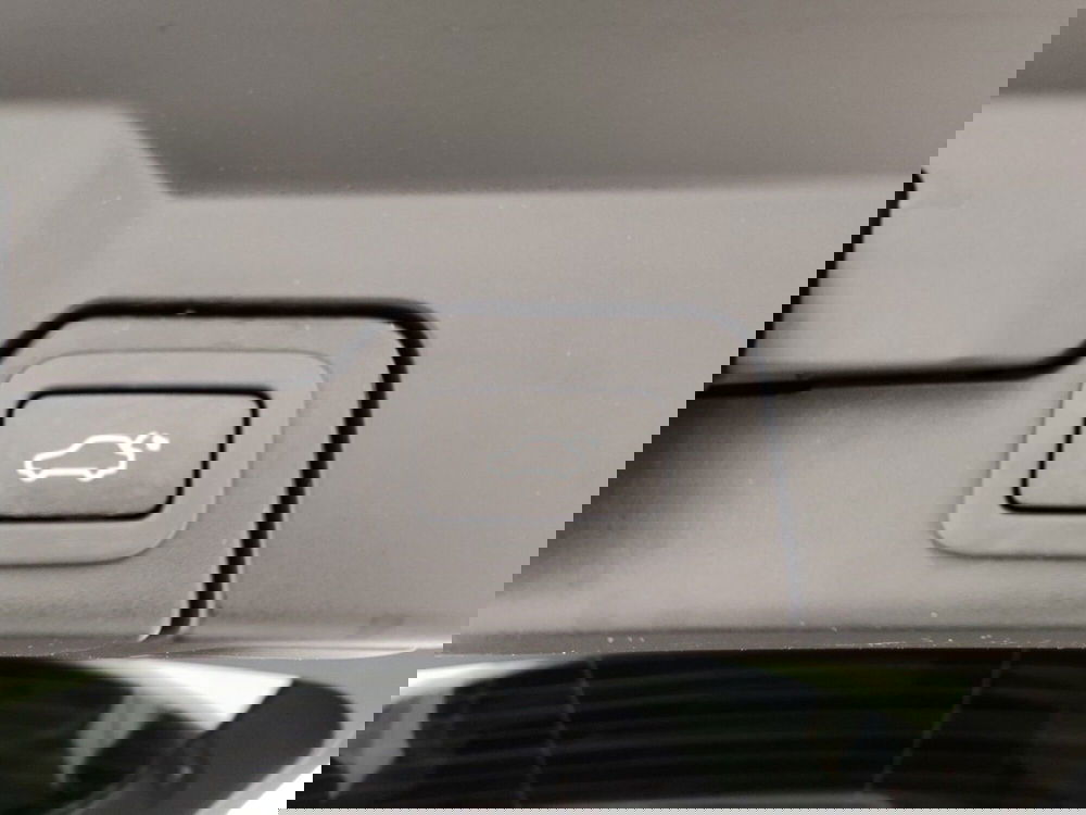 Land Rover Range Rover Evoque usata a Massa-Carrara (13)