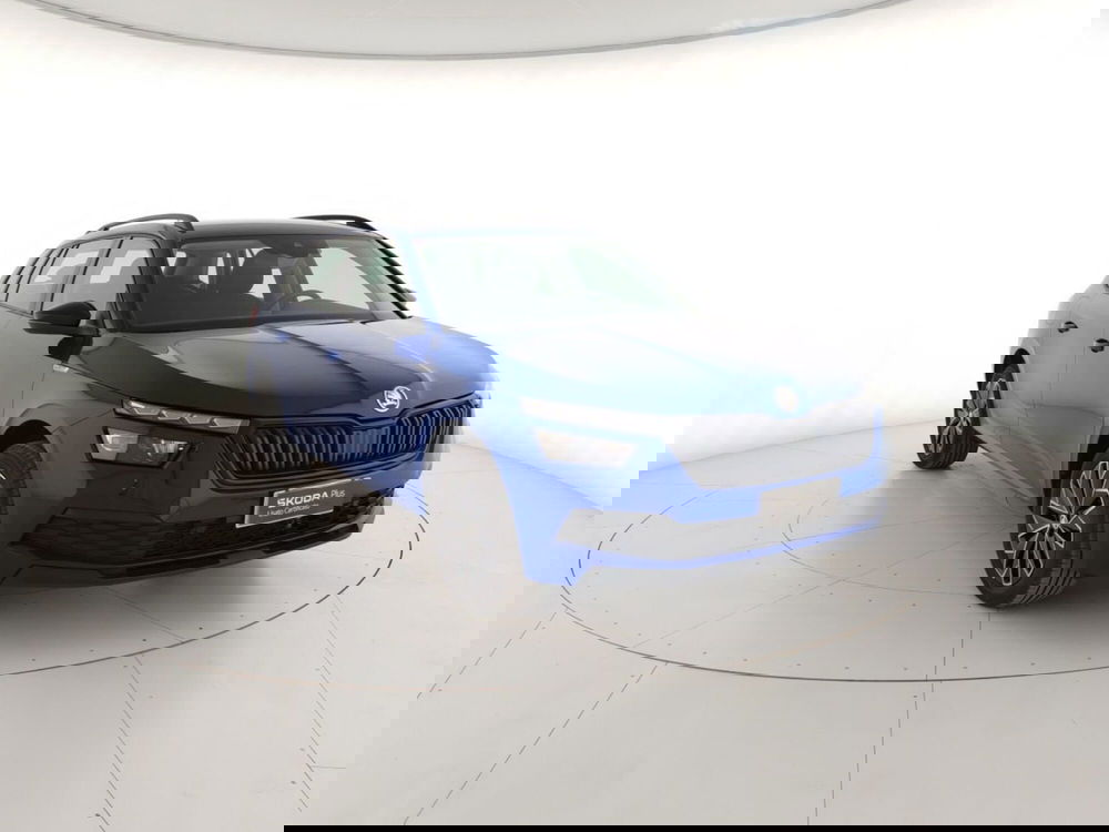 Skoda Kamiq usata a Massa-Carrara (4)