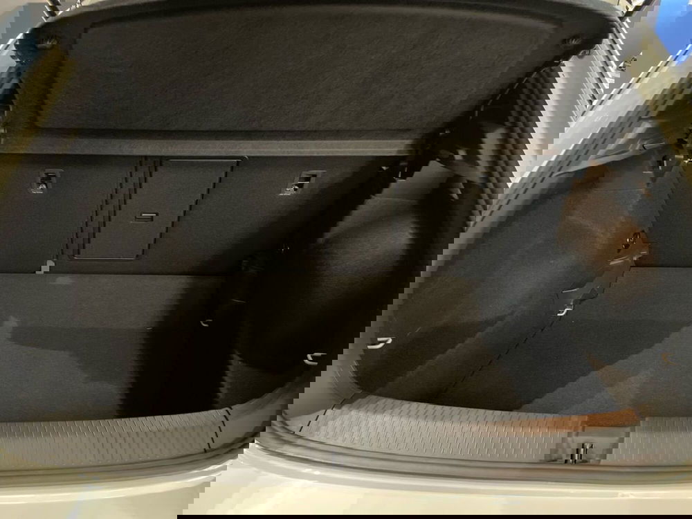 Volkswagen T-Roc usata a Firenze (8)