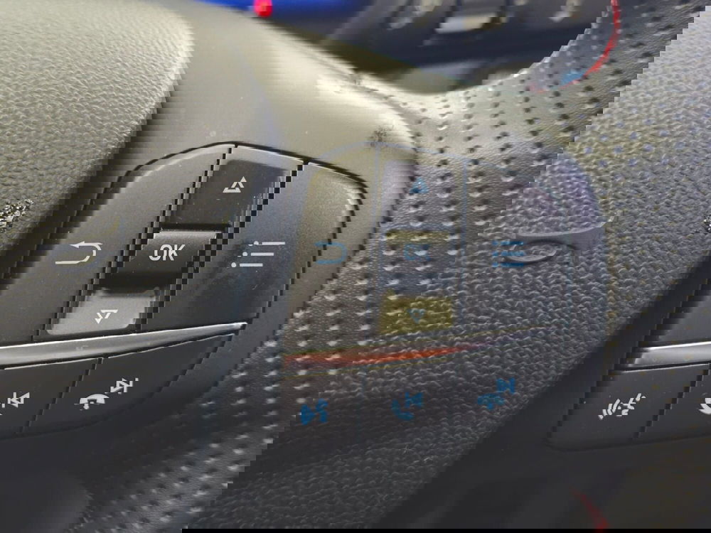 Ford Puma usata a Rimini (14)