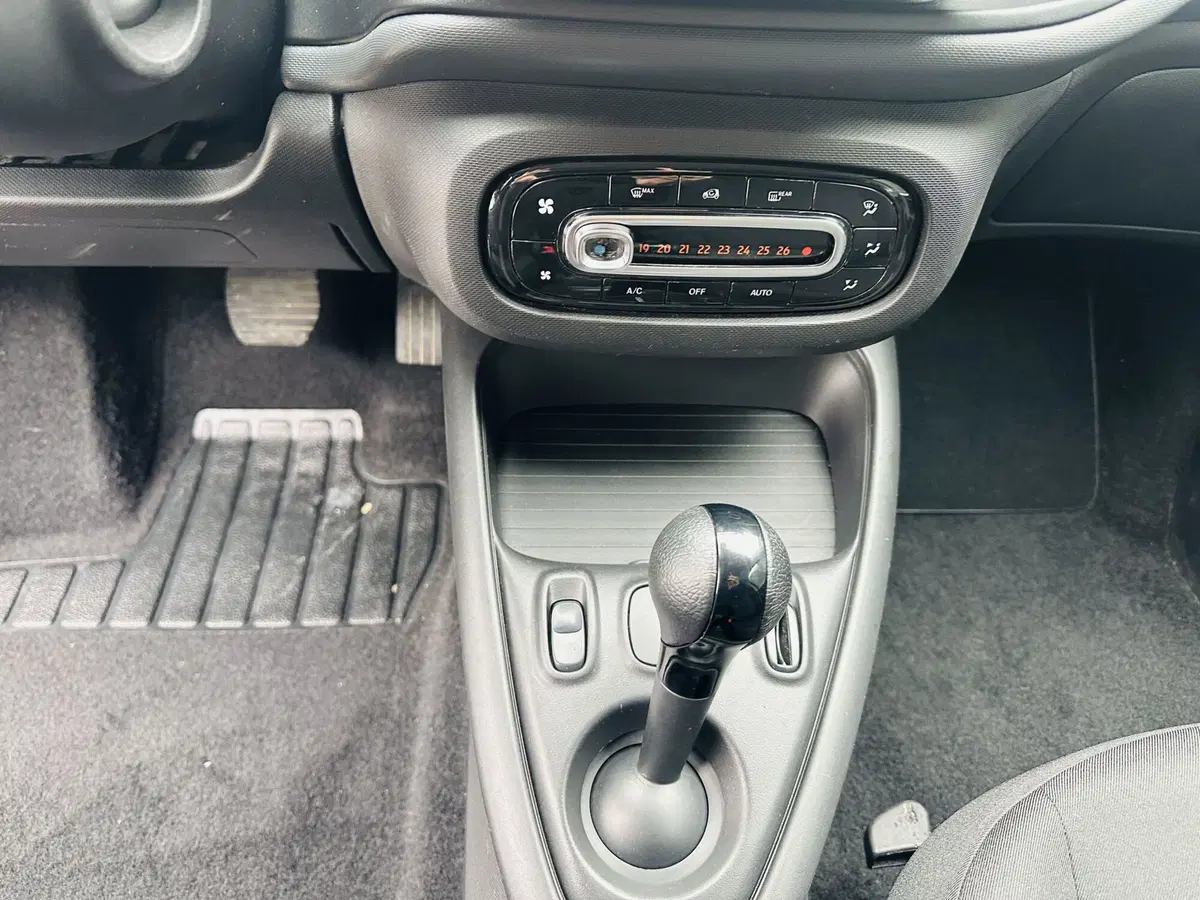 smart forfour usata a Firenze (13)