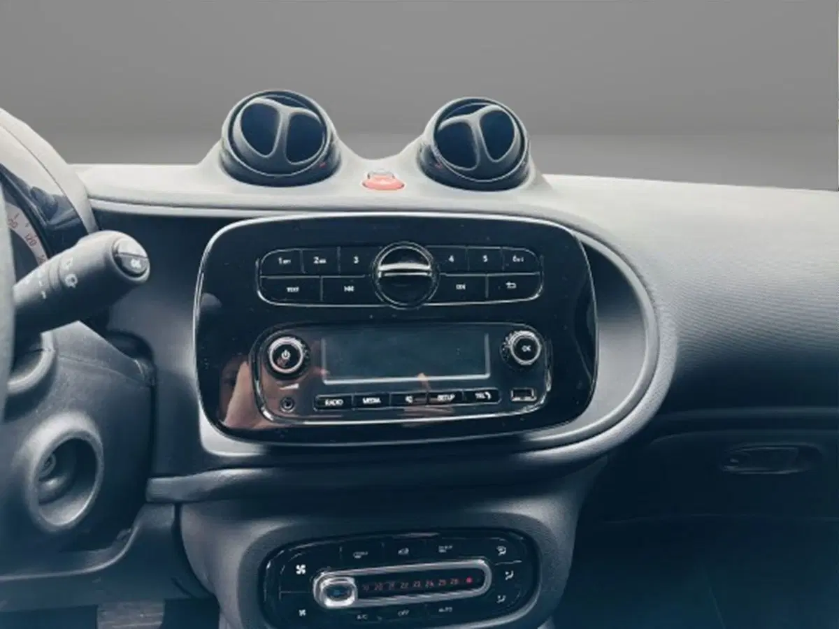 smart forfour usata a Firenze (14)