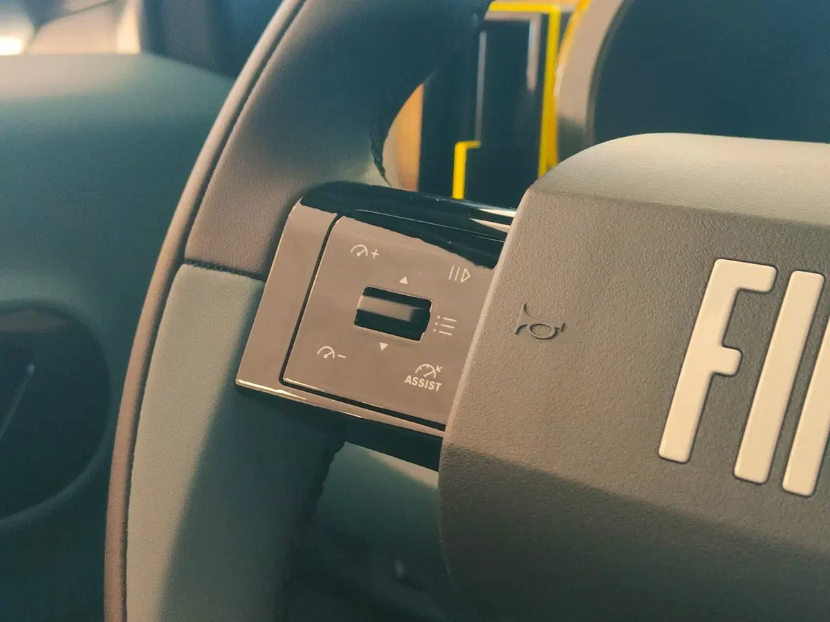 Fiat Grande Panda nuova a Torino (19)