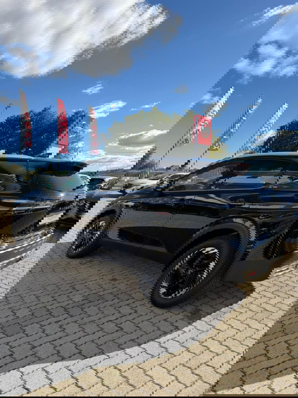 Nissan Qashqai nuova a Macerata (4)