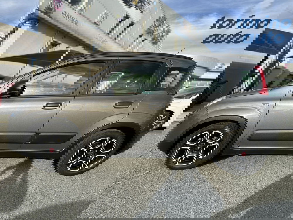 Fiat Panda usata a Torino (4)