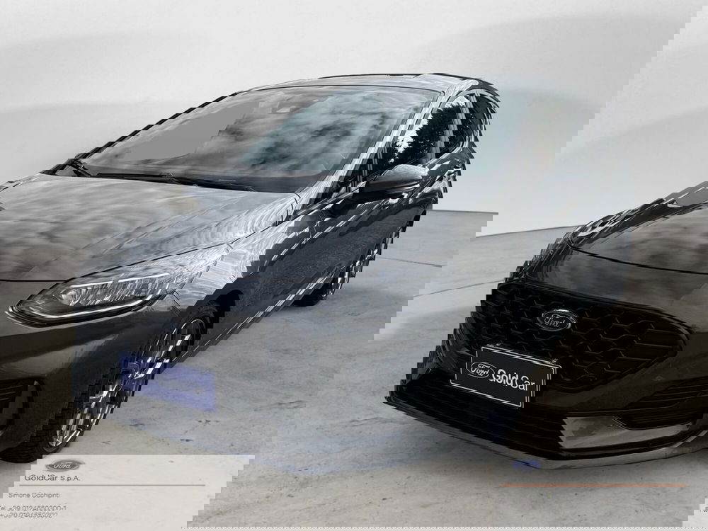 Ford Fiesta usata a Torino