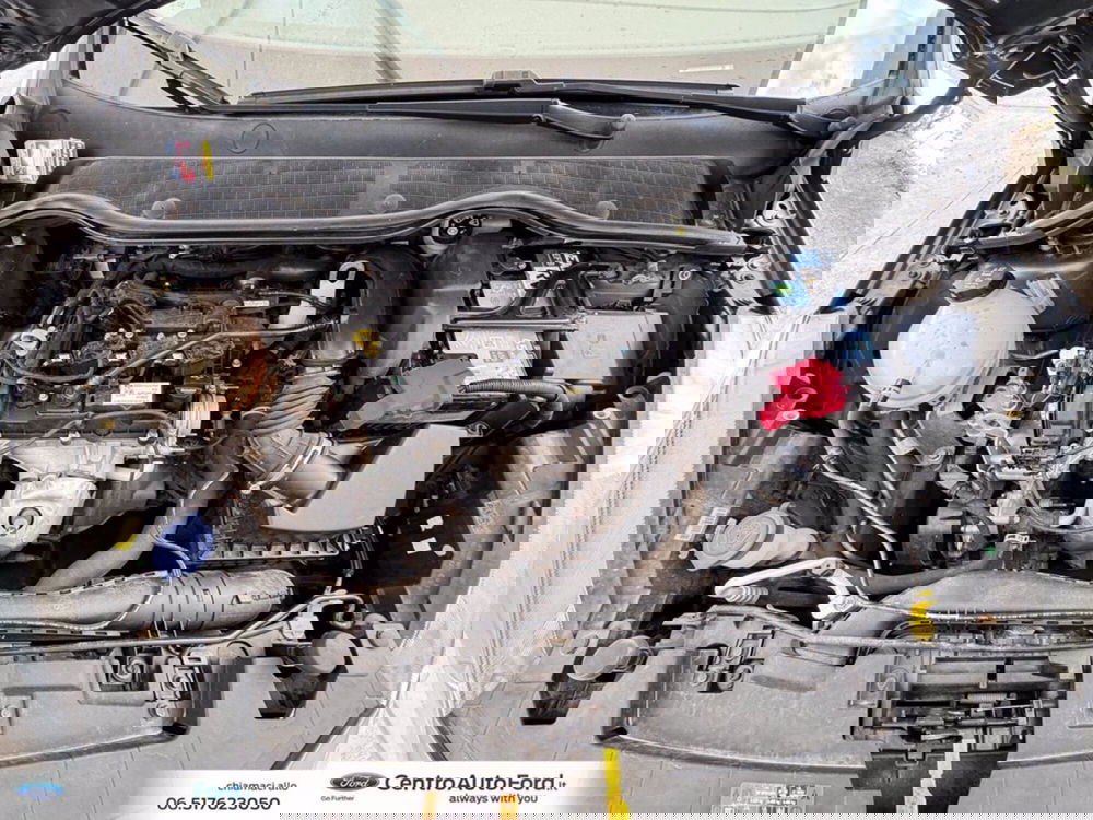 Ford Fiesta usata a Roma (12)