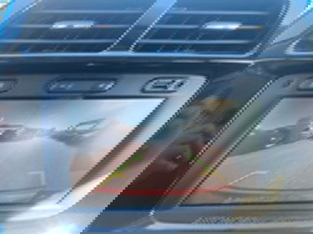 Dacia Spring usata a Udine (13)