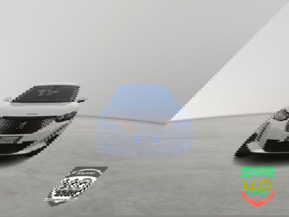 Peugeot 2008 usata a Frosinone (2)