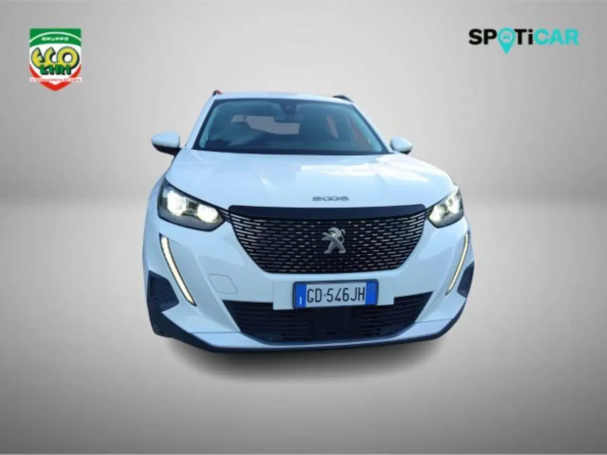 Peugeot 2008 usata a Frosinone (2)