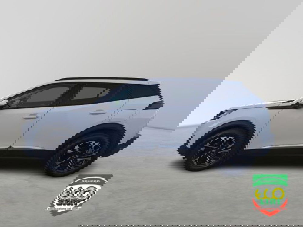 Peugeot 2008 usata a Frosinone (3)