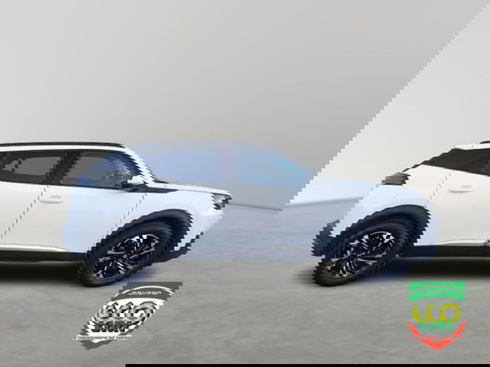 Peugeot 2008 usata a Frosinone (7)