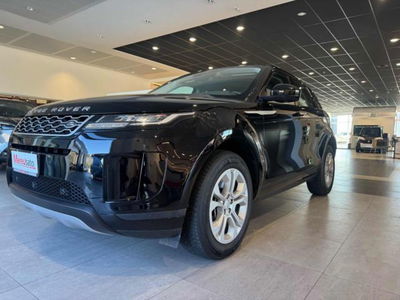 Land Rover Range Rover Evoque 2.0D I4 150CV AWD Business Edition del 2020 usata a Sassari