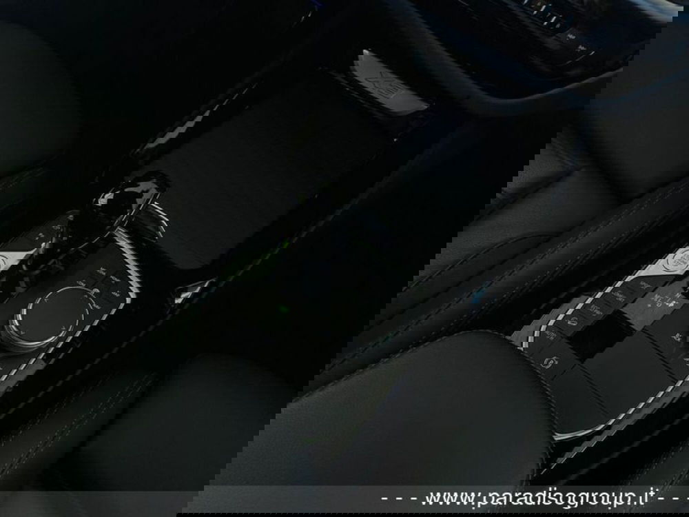 BMW X3 usata a Catanzaro (18)