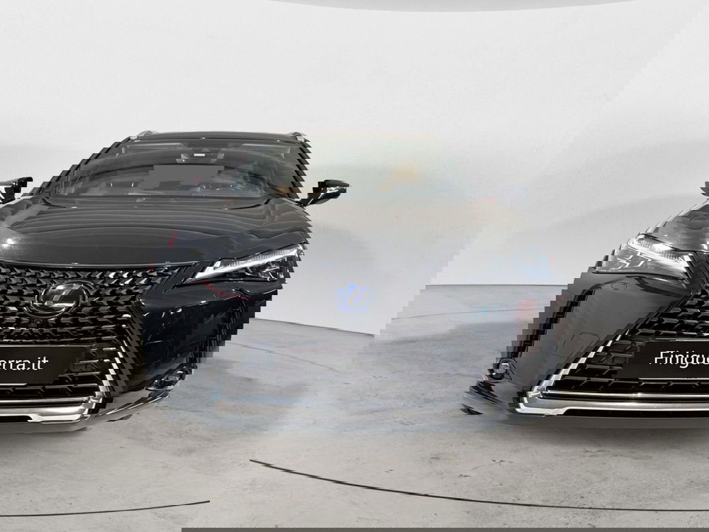 Lexus UX usata a Sondrio (2)