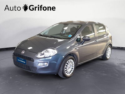 Fiat Punto 1.2 8V 5 porte Street del 2014 usata a Modena