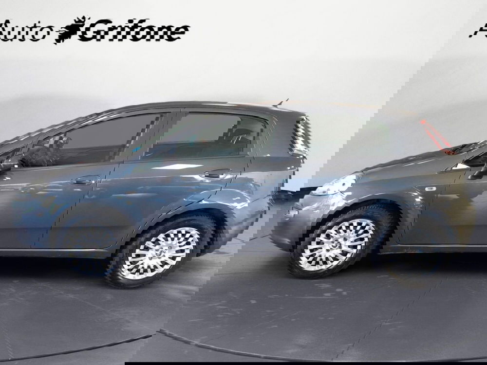 Fiat Punto usata a Modena (2)