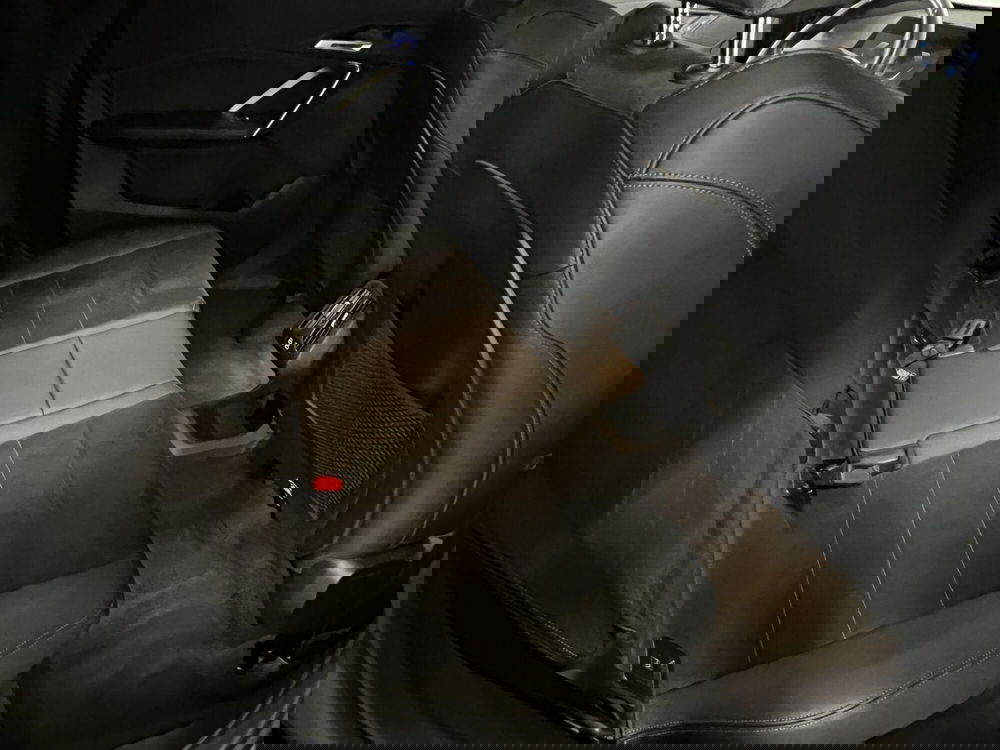 BMW X1 usata a Torino (6)