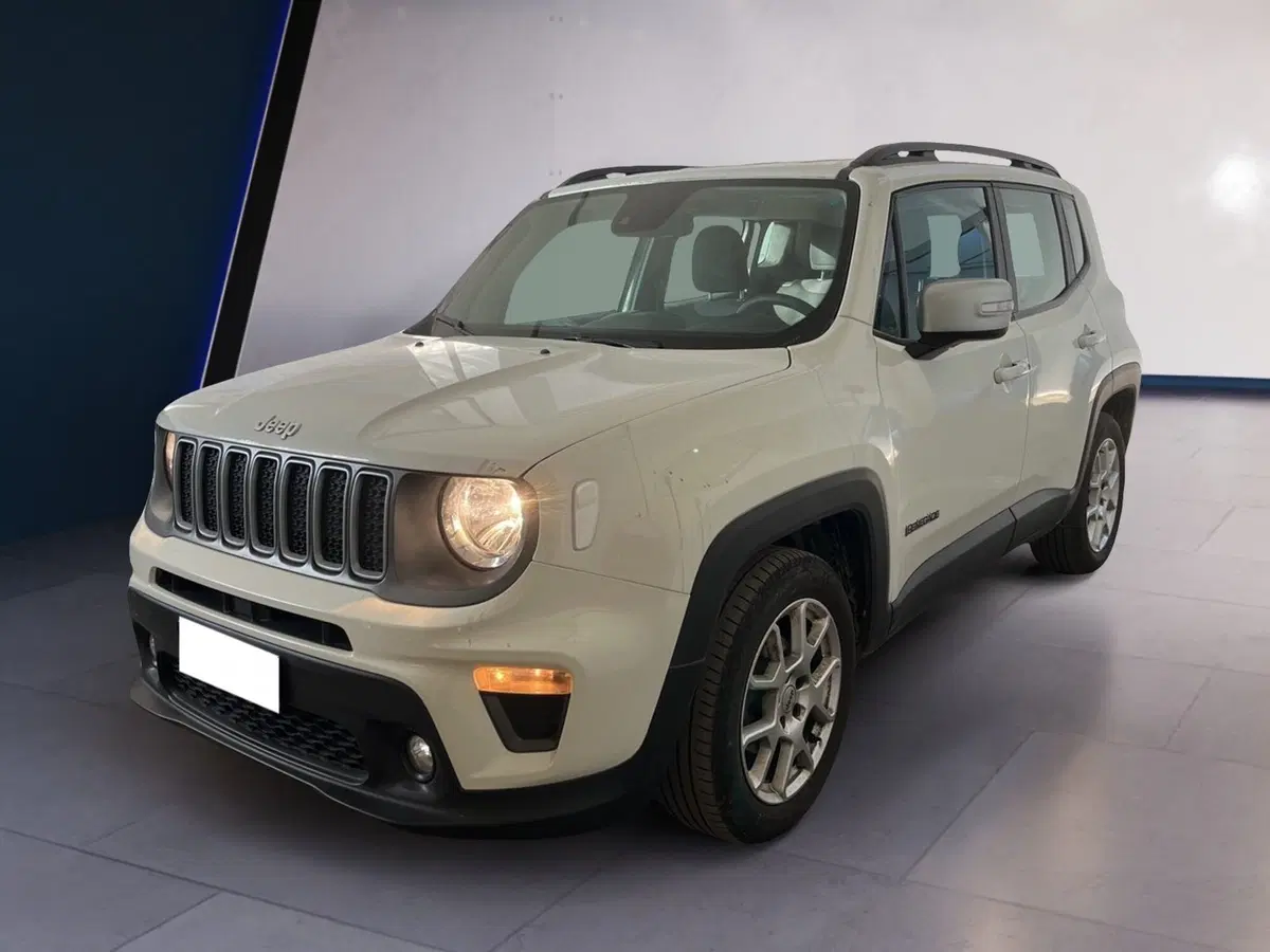 Jeep Renegade usata a Torino (2)