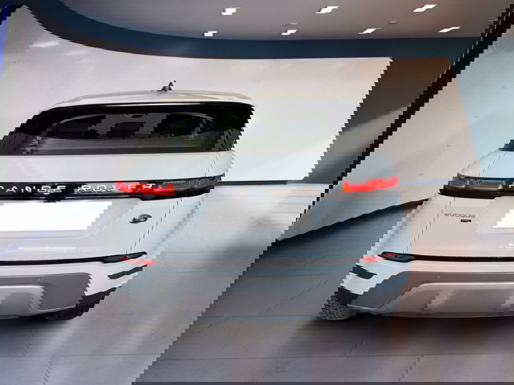 Land Rover Range Rover Evoque usata a Torino (5)